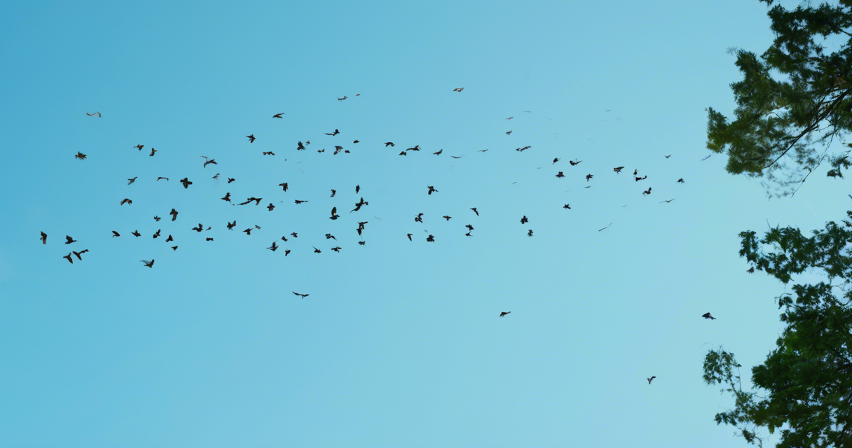 Defining Migration: Understanding Movement and Settlement